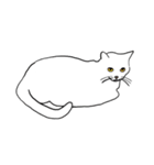 Meow, We are Cats！ 2（個別スタンプ：12）