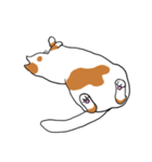 Meow, We are Cats！ 2（個別スタンプ：13）