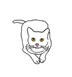 Meow, We are Cats！ 2（個別スタンプ：14）