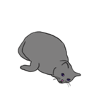 Meow, We are Cats！ 2（個別スタンプ：20）
