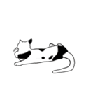 Meow, We are Cats！ 2（個別スタンプ：23）