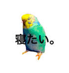 使える！ヘンテコキャラと挨拶スタンプ（個別スタンプ：16）
