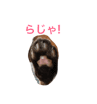 もん吉4（個別スタンプ：6）