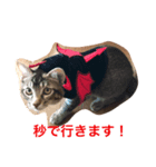 もん吉3（個別スタンプ：5）