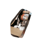 fu'-ta（個別スタンプ：5）