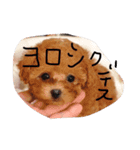 めろめろめろ（個別スタンプ：2）