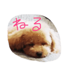 めろめろめろ（個別スタンプ：6）