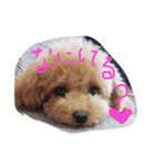 めろめろめろ（個別スタンプ：8）