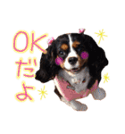 モモタロスタンプ（個別スタンプ：1）