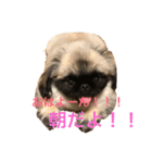 Mofutam（個別スタンプ：4）