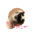 Mofutam（個別スタンプ：8）
