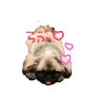 Mofutam（個別スタンプ：9）