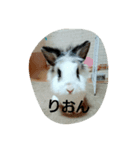 riposa（個別スタンプ：1）