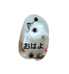 riposa（個別スタンプ：2）