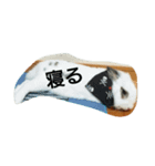 riposa（個別スタンプ：3）