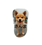 riposa（個別スタンプ：6）