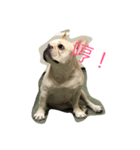Hi mi shiou（個別スタンプ：4）