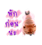 Toy Therapy Dog 1（個別スタンプ：3）