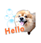 Toy Therapy Dog 1（個別スタンプ：4）