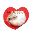 ハムスターのマロンくん（個別スタンプ：11）