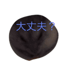 ハムスターのマロンくん（個別スタンプ：19）