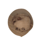 ハムスターのマロンくん（個別スタンプ：30）