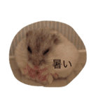 ハムスターのマロンくん（個別スタンプ：31）
