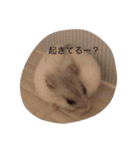 ハムスターのマロンくん（個別スタンプ：32）