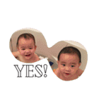 ハルハル＆ちびちび（個別スタンプ：3）