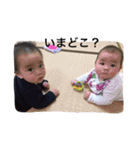 ハルハル＆ちびちび（個別スタンプ：22）