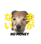 ぐーたらダックスモモ(シニア)（個別スタンプ：14）