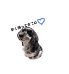 LOVEDOGs.（個別スタンプ：1）