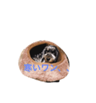 LOVEDOGs.（個別スタンプ：3）