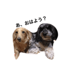 LOVEDOGs.（個別スタンプ：7）