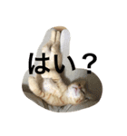 そうじ君の訴え（個別スタンプ：5）