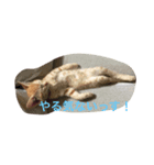 そうじ君の訴え（個別スタンプ：6）