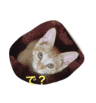 そうじ君の訴え（個別スタンプ：8）