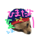 くまの気持ち②（個別スタンプ：3）