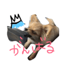 くまの気持ち②（個別スタンプ：7）