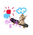 くまの気持ち②（個別スタンプ：10）