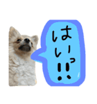 くまの気持ち②（個別スタンプ：11）