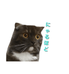 ジャック_（個別スタンプ：3）