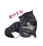 ジャック_（個別スタンプ：7）
