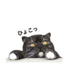 ジャック_（個別スタンプ：8）