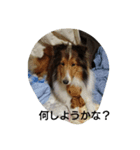 エブリーエブリータイム（個別スタンプ：2）