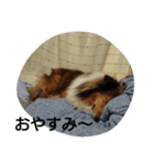 エブリーエブリータイム（個別スタンプ：3）