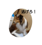 エブリーエブリータイム（個別スタンプ：6）