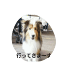 エブリーエブリータイム（個別スタンプ：15）
