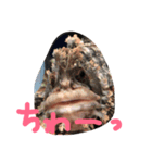 わはは！？（個別スタンプ：6）