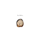 kuruminowanko1（個別スタンプ：8）